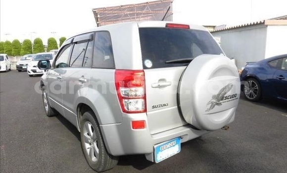 Buy Used Suzuki Escudo Silver Car in Beitbridge in Matabeleland South Buy Used Suzuki Escudo Silver Car in Beitbridge in Matabeleland South