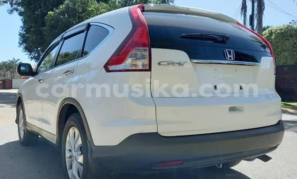 Acheter Neuf Voiture Honda CR–V Blanc à Harare, Harare