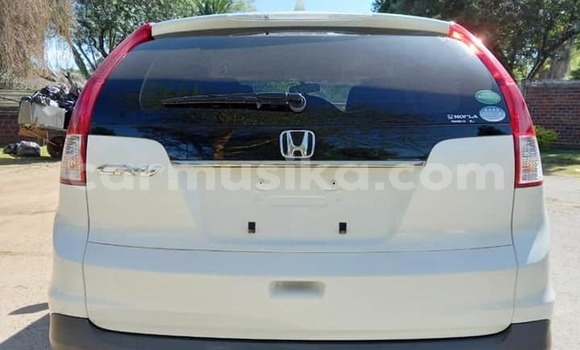 Tenga Itsva Honda CRâV Chena Mota in Harare in Harare Tenga Itsva Honda CRâV Chena Mota in Harare in Harare