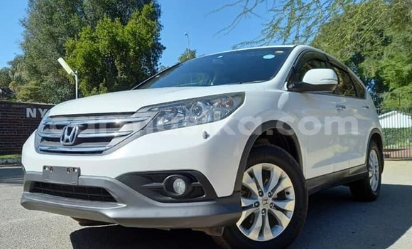 Tenga Itsva Honda CRâV Chena Mota in Harare in Harare Tenga Itsva Honda CRâV Chena Mota in Harare in Harare