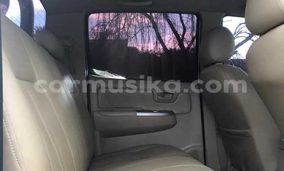 Tenga Tsaru Toyota Hilux Chena Mota in Harare in Harare Tenga Tsaru Toyota Hilux Chena Mota in Harare in Harare