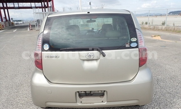 Tenga Tsaru Toyota Passo Zvimwe Mota in Harare in Harare Tenga Tsaru Toyota Passo Zvimwe Mota in Harare in Harare