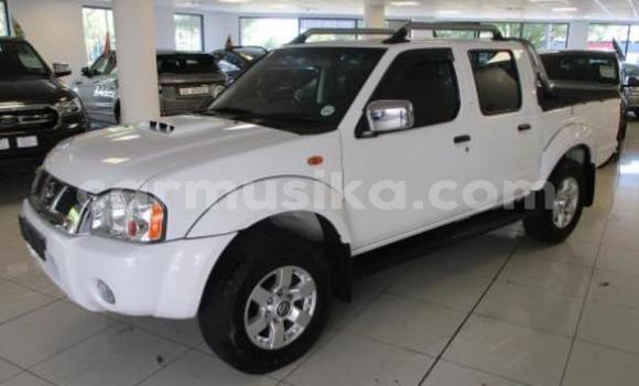 Nunua Ilio tumika Nissan Hardbody Nyeupe Gari ndani ya Beitbridge nchini Matabeleland Kusini