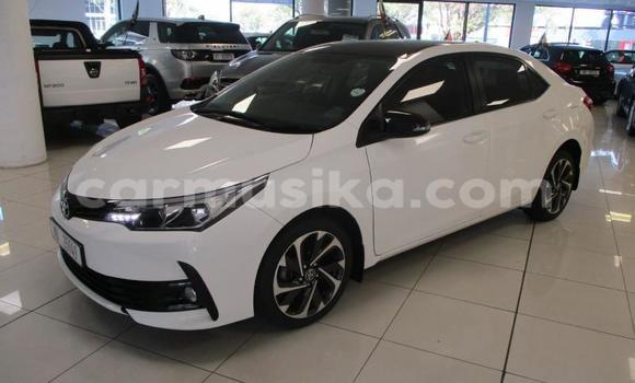 Acheter Occasion Voiture Toyota Corolla Blanc à Beitbridge, Matabeleland South