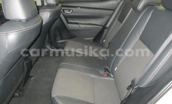 Buy Used Toyota Corolla White Car in Beitbridge in Matabeleland South Buy Used Toyota Corolla White Car in Beitbridge in Matabeleland South