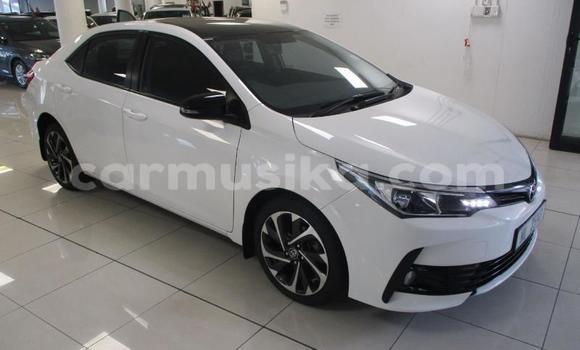 Buy Used Toyota Corolla White Car in Beitbridge in Matabeleland South Buy Used Toyota Corolla White Car in Beitbridge in Matabeleland South