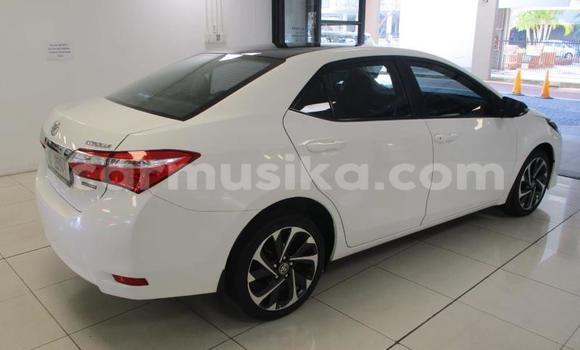 Buy Used Toyota Corolla White Car in Beitbridge in Matabeleland South Buy Used Toyota Corolla White Car in Beitbridge in Matabeleland South