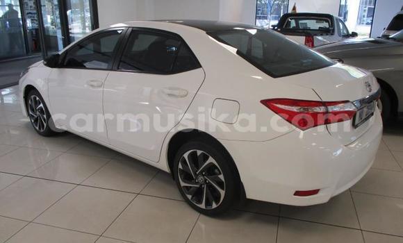 Buy Used Toyota Corolla White Car in Beitbridge in Matabeleland South Buy Used Toyota Corolla White Car in Beitbridge in Matabeleland South