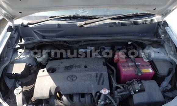 Acheter Occasion Voiture Toyota Probox Blanc à Beitbridge, Matabeleland South Acheter Occasion Voiture Toyota Probox Blanc à Beitbridge, Matabeleland South