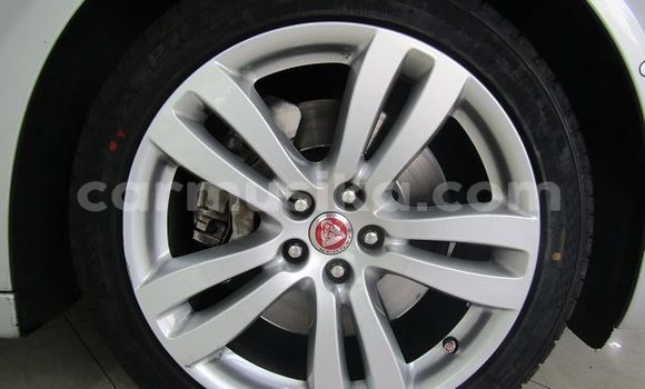 Buy Used Jaguar XJ Silver Car in Beitbridge in Matabeleland South Buy Used Jaguar XJ Silver Car in Beitbridge in Matabeleland South