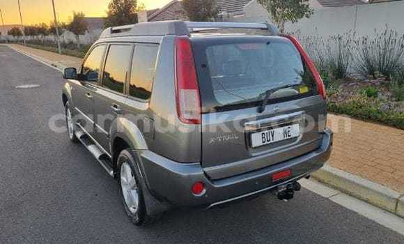 Buy Used Nissan X–Trail Brown Car in Beitbridge in Matabeleland South