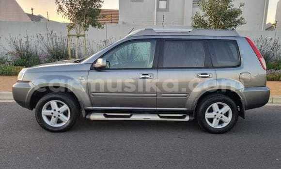 Acheter Occasion Voiture Nissan X–Trail Marron à Beitbridge, Matabeleland South Acheter Occasion Voiture Nissan X–Trail Marron à Beitbridge, Matabeleland South