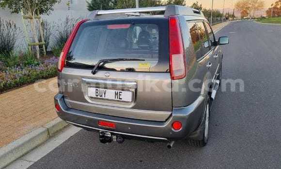 Acheter Occasion Voiture Nissan X–Trail Marron à Beitbridge, Matabeleland South Acheter Occasion Voiture Nissan X–Trail Marron à Beitbridge, Matabeleland South