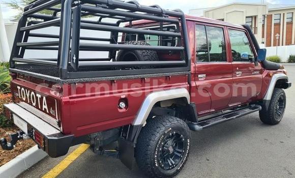 Buy Used Toyota Land Cruiser Red Car in Beitbridge in Matabeleland South Buy Used Toyota Land Cruiser Red Car in Beitbridge in Matabeleland South