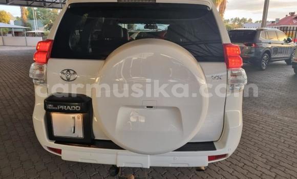 Nunua Ilio tumika Toyota Land Cruiser Prado Nyeupe Gari ndani ya Beitbridge nchini Matabeleland Kusini Nunua Ilio tumika Toyota Land Cruiser Prado Nyeupe Gari ndani ya Beitbridge nchini Matabeleland Kusini