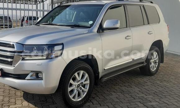 Nunua Ilio tumika Toyota Land Cruiser Prado Fedha Gari ndani ya Beitbridge nchini Matabeleland Kusini Nunua Ilio tumika Toyota Land Cruiser Prado Fedha Gari ndani ya Beitbridge nchini Matabeleland Kusini