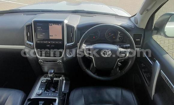 Nunua Ilio tumika Toyota Land Cruiser Prado Fedha Gari ndani ya Beitbridge nchini Matabeleland Kusini Nunua Ilio tumika Toyota Land Cruiser Prado Fedha Gari ndani ya Beitbridge nchini Matabeleland Kusini