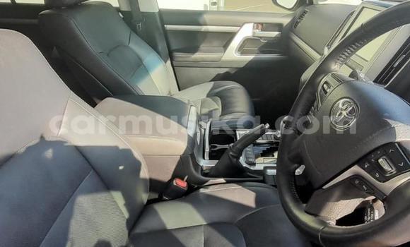Nunua Ilio tumika Toyota Land Cruiser Prado Fedha Gari ndani ya Beitbridge nchini Matabeleland Kusini Nunua Ilio tumika Toyota Land Cruiser Prado Fedha Gari ndani ya Beitbridge nchini Matabeleland Kusini