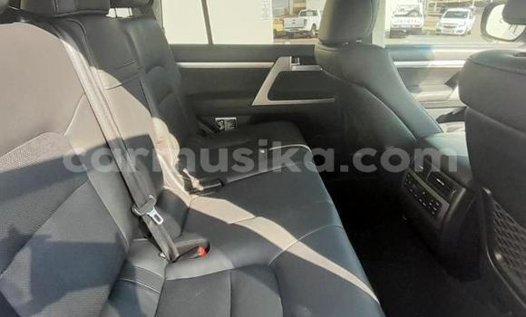 Nunua Ilio tumika Toyota Land Cruiser Prado Fedha Gari ndani ya Beitbridge nchini Matabeleland Kusini Nunua Ilio tumika Toyota Land Cruiser Prado Fedha Gari ndani ya Beitbridge nchini Matabeleland Kusini