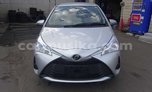 Buy Used Toyota Vitz Silver Car in Beitbridge in Matabeleland South