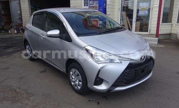 Tenga Tsaru Toyota Vitz Sirivha Mota in Beitbridge in Matabeleland South Tenga Tsaru Toyota Vitz Sirivha Mota in Beitbridge in Matabeleland South