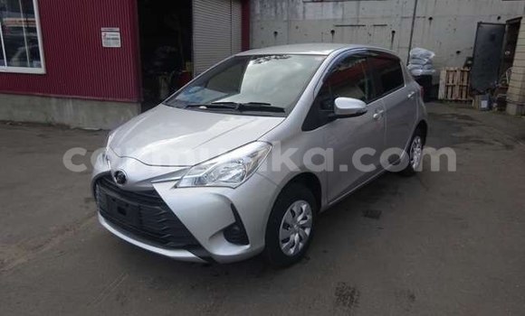 Tenga Tsaru Toyota Vitz Sirivha Mota in Beitbridge in Matabeleland South Tenga Tsaru Toyota Vitz Sirivha Mota in Beitbridge in Matabeleland South