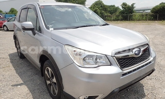 Buy Used Subaru Forester Silver Car in Beitbridge in Matabeleland South Buy Used Subaru Forester Silver Car in Beitbridge in Matabeleland South