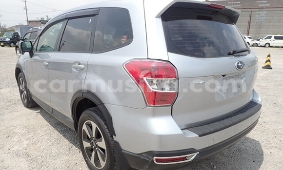 Buy Used Subaru Forester Silver Car in Beitbridge in Matabeleland South Buy Used Subaru Forester Silver Car in Beitbridge in Matabeleland South