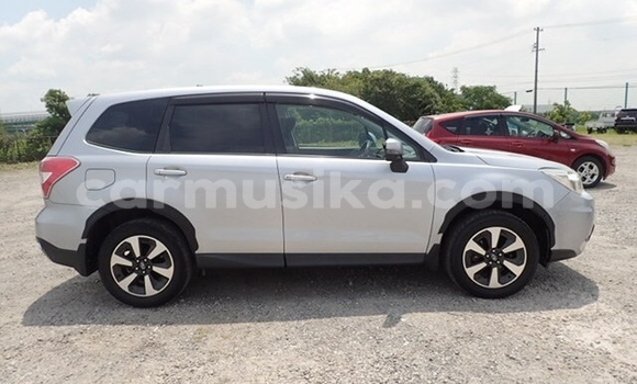 Buy Used Subaru Forester Silver Car in Beitbridge in Matabeleland South Buy Used Subaru Forester Silver Car in Beitbridge in Matabeleland South
