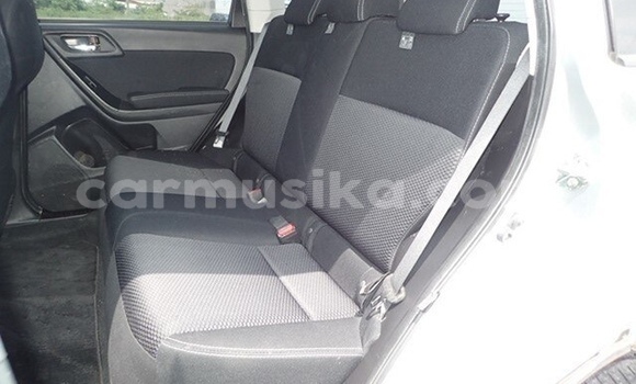 Buy Used Subaru Forester Silver Car in Beitbridge in Matabeleland South Buy Used Subaru Forester Silver Car in Beitbridge in Matabeleland South