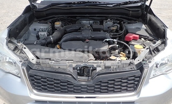 Buy Used Subaru Forester Silver Car in Beitbridge in Matabeleland South Buy Used Subaru Forester Silver Car in Beitbridge in Matabeleland South