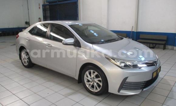 Tenga Tsaru Toyota Corolla Sirivha Mota in Beitbridge in Matabeleland South Tenga Tsaru Toyota Corolla Sirivha Mota in Beitbridge in Matabeleland South