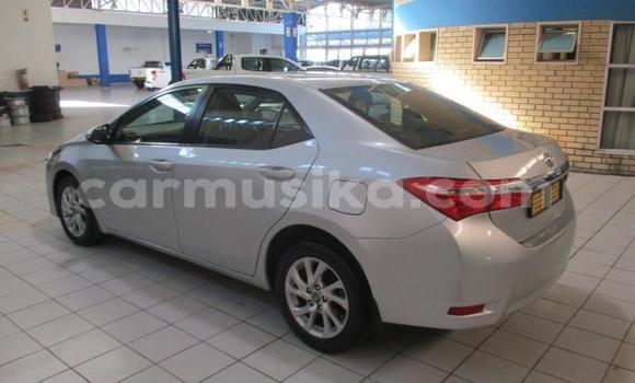 Tenga Tsaru Toyota Corolla Sirivha Mota in Beitbridge in Matabeleland South Tenga Tsaru Toyota Corolla Sirivha Mota in Beitbridge in Matabeleland South