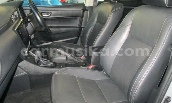 Tenga Tsaru Toyota Corolla Sirivha Mota in Beitbridge in Matabeleland South Tenga Tsaru Toyota Corolla Sirivha Mota in Beitbridge in Matabeleland South