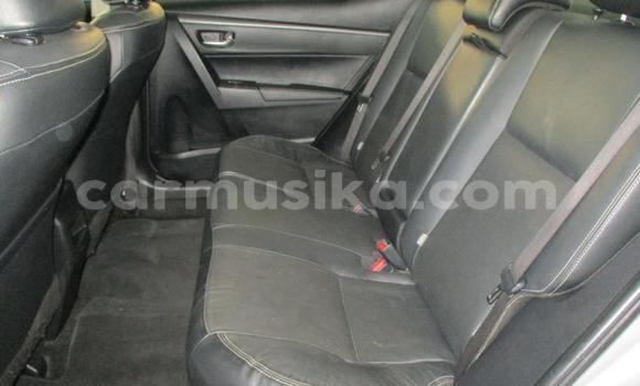 Tenga Tsaru Toyota Corolla Sirivha Mota in Beitbridge in Matabeleland South Tenga Tsaru Toyota Corolla Sirivha Mota in Beitbridge in Matabeleland South