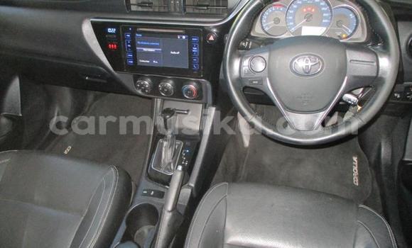 Tenga Tsaru Toyota Corolla Sirivha Mota in Beitbridge in Matabeleland South Tenga Tsaru Toyota Corolla Sirivha Mota in Beitbridge in Matabeleland South