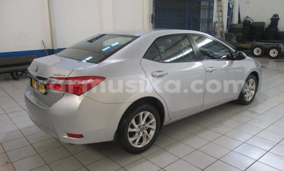 Tenga Tsaru Toyota Corolla Sirivha Mota in Beitbridge in Matabeleland South Tenga Tsaru Toyota Corolla Sirivha Mota in Beitbridge in Matabeleland South