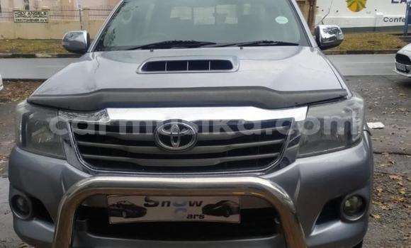 Buy Used Toyota Hilux Silver Car in Beitbridge in Matabeleland South Buy Used Toyota Hilux Silver Car in Beitbridge in Matabeleland South