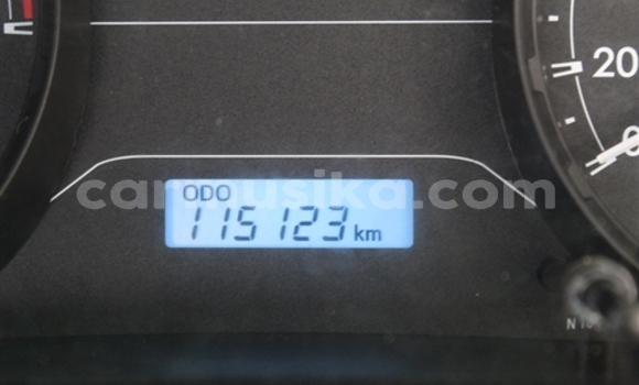 Tenga Tsaru Toyota Hilux Chena Mota in Beitbridge in Matabeleland South