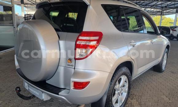 Acheter Occasion Voiture Toyota RAV4 Gris à Beitbridge, Matabeleland South Acheter Occasion Voiture Toyota RAV4 Gris à Beitbridge, Matabeleland South