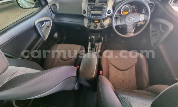 Acheter Occasion Voiture Toyota RAV4 Gris à Beitbridge, Matabeleland South Acheter Occasion Voiture Toyota RAV4 Gris à Beitbridge, Matabeleland South