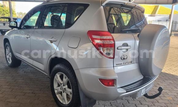 Acheter Occasion Voiture Toyota RAV4 Gris à Beitbridge, Matabeleland South Acheter Occasion Voiture Toyota RAV4 Gris à Beitbridge, Matabeleland South