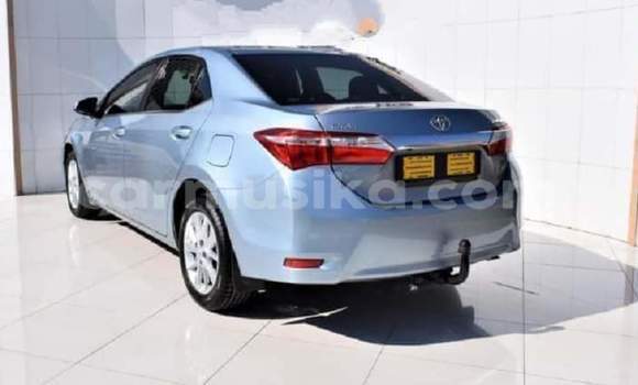 Nunua Ilio tumika Toyota Corolla Fedha Gari ndani ya Beitbridge nchini Matabeleland Kusini Nunua Ilio tumika Toyota Corolla Fedha Gari ndani ya Beitbridge nchini Matabeleland Kusini