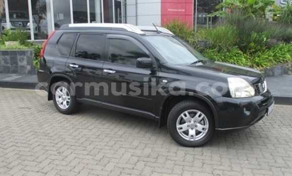 Buy Used Nissan X–Trail Other Car in Beitbridge in Matabeleland South Buy Used Nissan X–Trail Other Car in Beitbridge in Matabeleland South