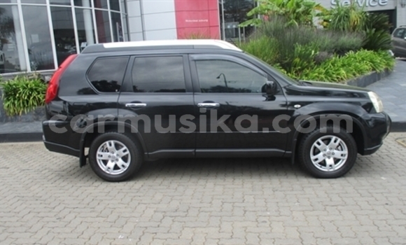 Buy Used Nissan X–Trail Other Car in Beitbridge in Matabeleland South Buy Used Nissan X–Trail Other Car in Beitbridge in Matabeleland South