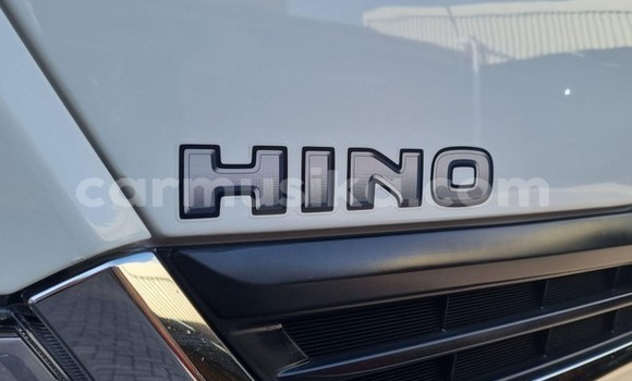 Buy Used Hino 300 Series White Truck in Beitbridge in Matabeleland South Buy Used Hino 300 Series White Truck in Beitbridge in Matabeleland South