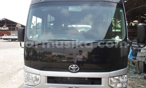 Buy Used Toyota Coaster Other Car in Beitbridge in Matabeleland South Buy Used Toyota Coaster Other Car in Beitbridge in Matabeleland South