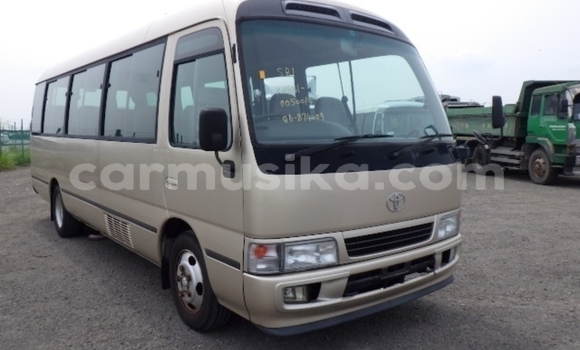 Acheter Occasion Voiture Toyota Coaster Autre à Beitbridge, Matabeleland South Acheter Occasion Voiture Toyota Coaster Autre à Beitbridge, Matabeleland South