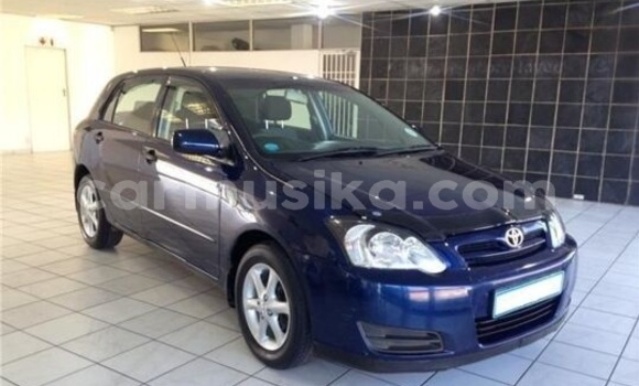 Tenga Tsaru Toyota Runx Bhuruu Mota in Beitbridge in Matabeleland South