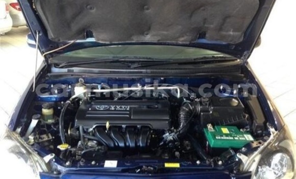 Nunua Ilio tumika Toyota Runx Bluu Gari ndani ya Beitbridge nchini Matabeleland Kusini Nunua Ilio tumika Toyota Runx Bluu Gari ndani ya Beitbridge nchini Matabeleland Kusini